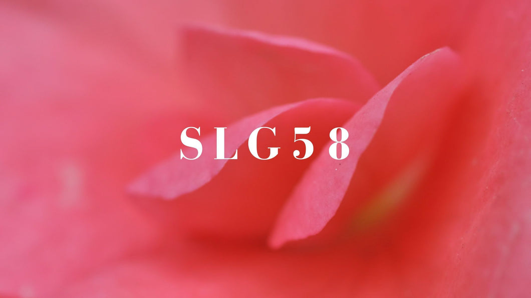 SLG58 Headbands Gift Card